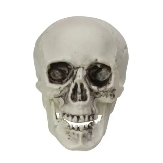 3.5'' Skull Head Halloween Decorations, 6ct. {3}