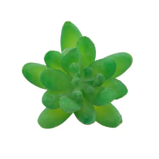 Flora Bunda&reg; Green Small Little Gem Succulent Pick, 12ct. {3}