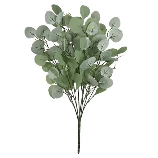 Eucalyptus Bush by Ashland&reg; {1}