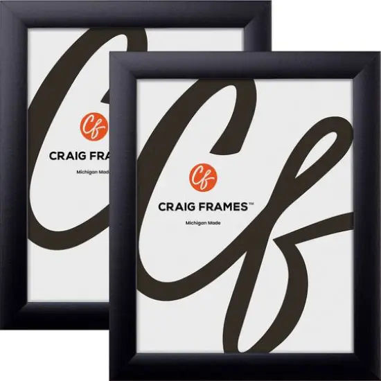 2 Pack Craig Frames Contemporary Gallery Black Picture Frame {1}