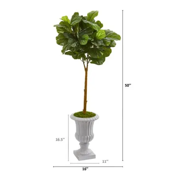 4ft. Fiddle Leaf Tree in Decorative Urn {3}
