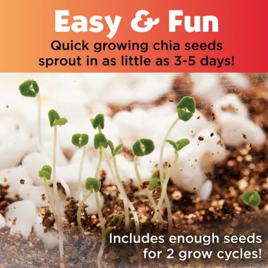 Creativity for Kids&reg; Plant & Grow Woodland Forest {6}