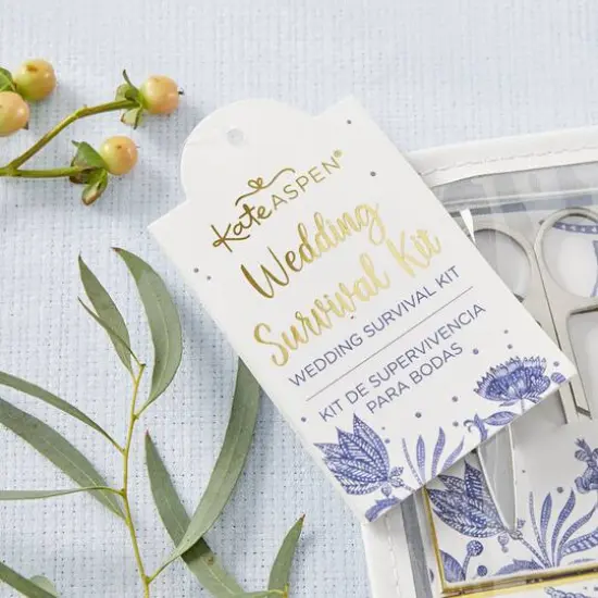 Kate Aspen&reg; Blue Willow Wedding Survival Kit {5}