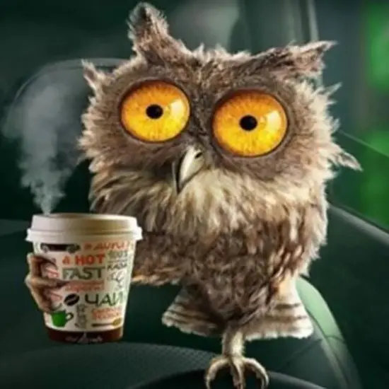 Sparkly Selections Java Owl Diamond Painting Kit, Round Diamonds {1}