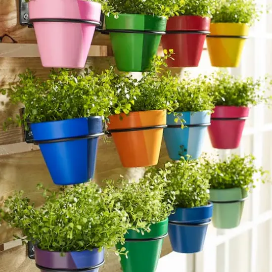 Apple Barrel&reg; Gloss Acrylic Craft Paint 16 Color Set {7}