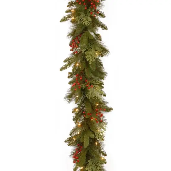 9ft. Clear Lights Mixed Evergreen Classical Collection Garland {1}