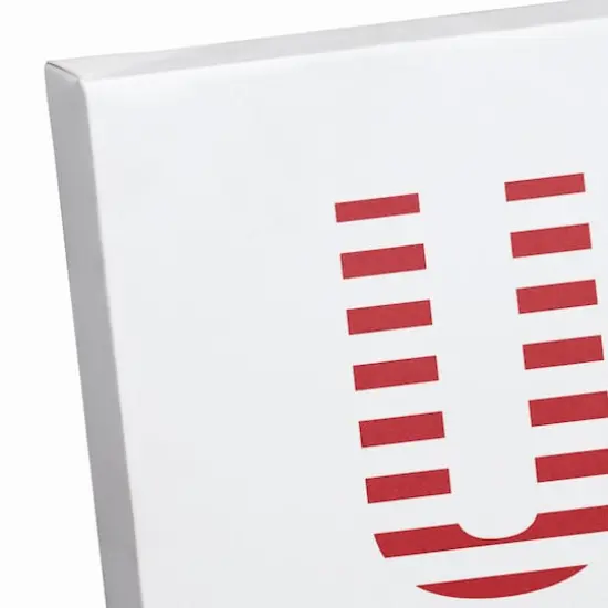 USA Sneaker Canvas Wall Art {4}