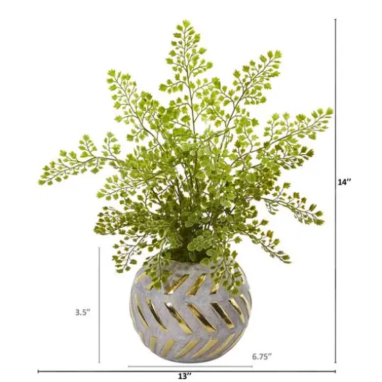 17" Maidenhair in Decorative Vase {3}