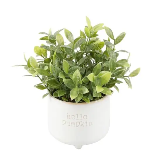 Flora Bunda&reg; Tea Leaf in Hello Pumpkin Ceramic Footed Pot {1}