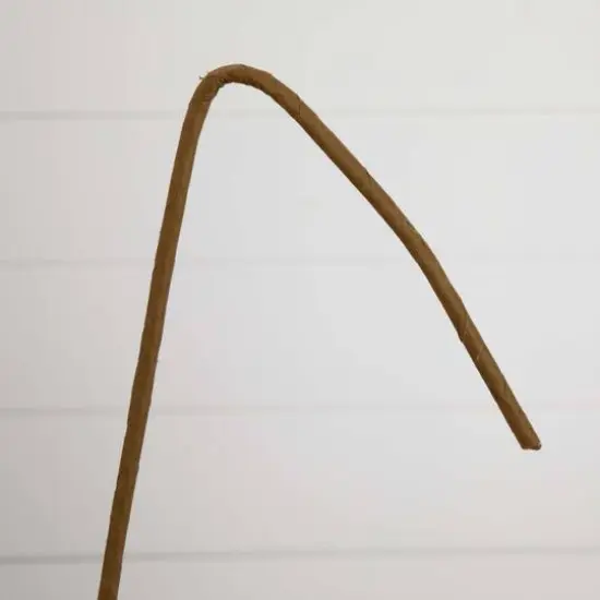 40" Green Eucalyptus Stems, 3ct. {8}