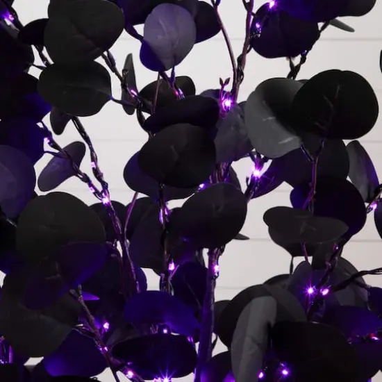 6ft. Pre-Lit Artificial Halloween Black Eucalyptus Tree with 300 Orange & Purple LED Lights {5}