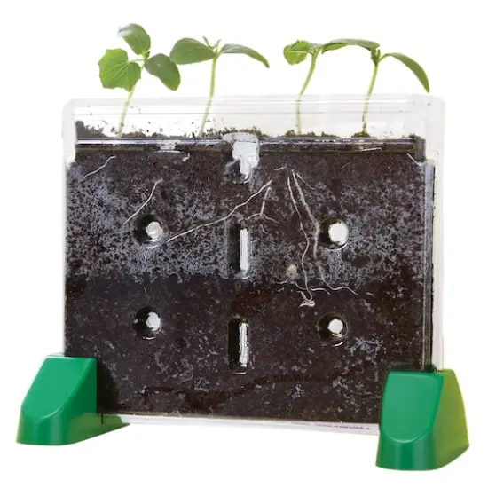 Educational Insights Sprout & Grow Window {1}