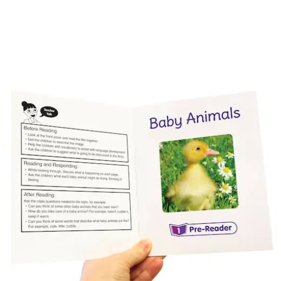 Junior Learning® Letters & Sounds Phase 1 Non-Fiction Educational Learning Set {4}