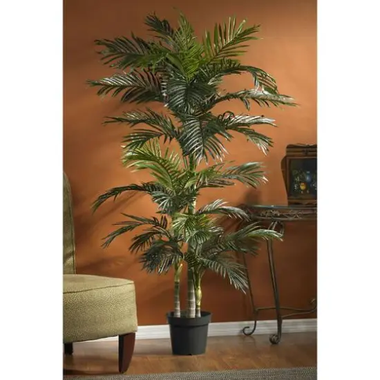 6.5ft. Potted Golden Cane Palm Tree {6}