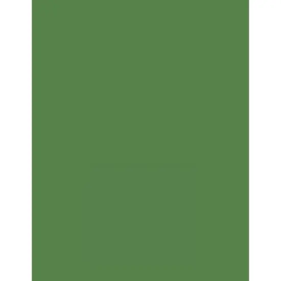 PA Paper&trade; Stash Builder 8.5" x 11" Cardstock, 1,000 Sheets Parrot {1}