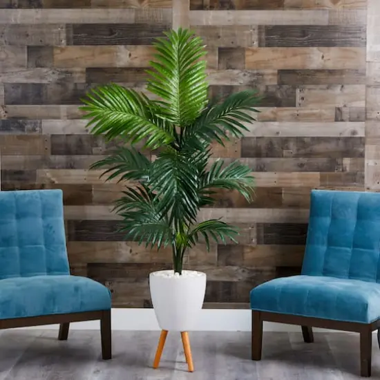 6ft. Kentia Palm Tree in White Planter with Stand {4}