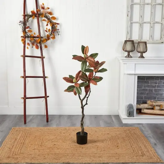 4ft. Potted Fall Magnolia Tree {3}