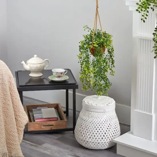 20" Baby's Tear Plant in Hanging Basket  {5}