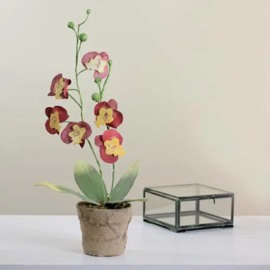 14" Crimson & Banana Yellow Potted Orchids {4}