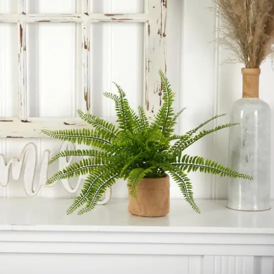 15" Boston Fern with Burlap Planter, 2ct. {7}