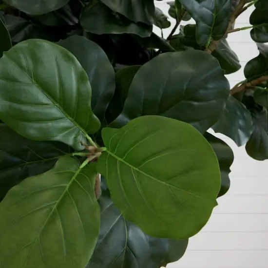 10ft. Artificial Fiddle Leaf Fig Tree {4}