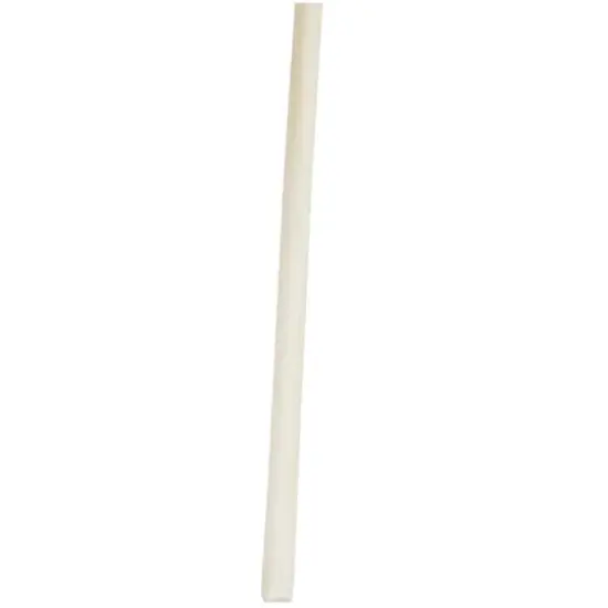 Cream Pampas Grass Stem {3}