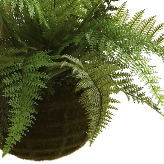 13'' Leather Fern in Mossy Hanging Basket, 2ct. {4}
