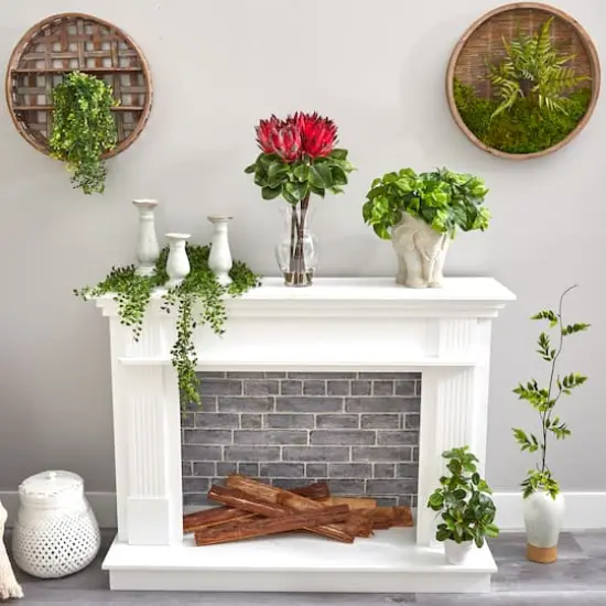23" Red King Protea Arrangement in Glass Vase {7}