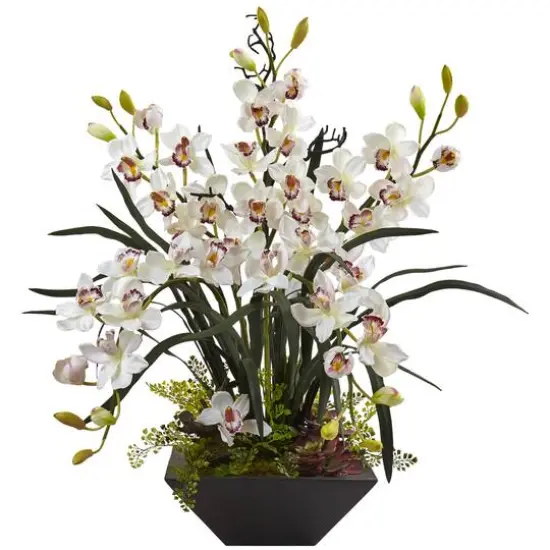 3ft. White Boat Orchid Arrangement in Black Vase {1}