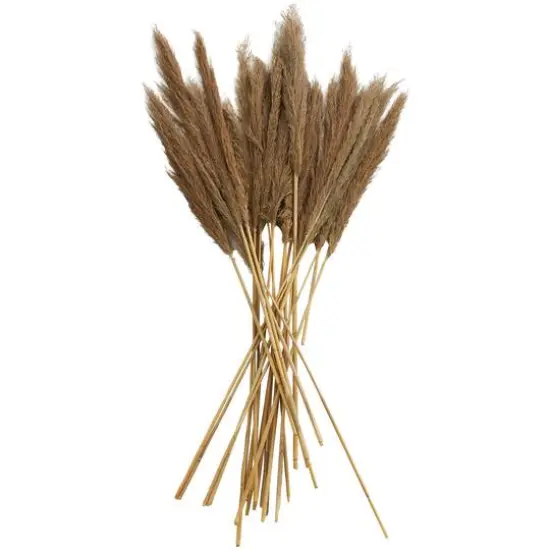 Dried Plant Bamboo Natural Foliage with Long Stems Brown {7}