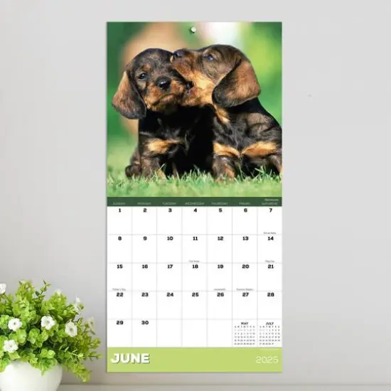 TF Publishing 2025 Puppies Mini Calendar {4}
