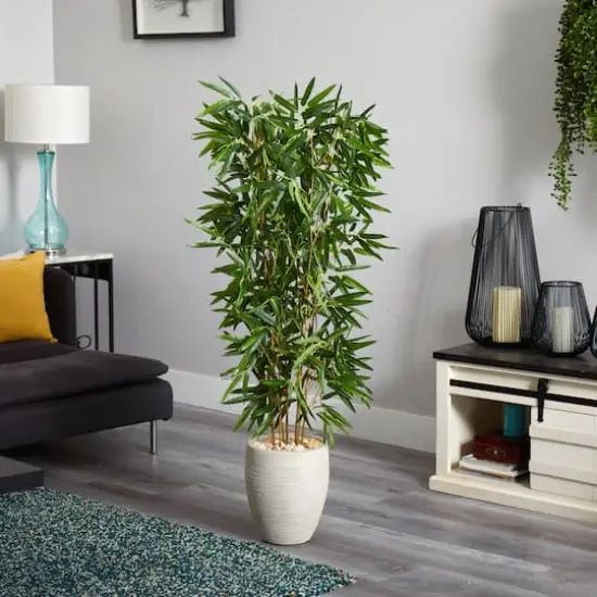 5ft. Bamboo Tree in Sand Colored Planter {3}