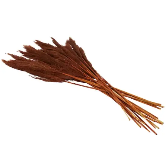 Dried Plant Bamboo Natural Foliage with Long Stems Copper {4}