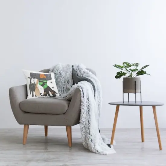 Stupell Industries Halloween Witch & Black Cat Festive Throw Pillow {3}