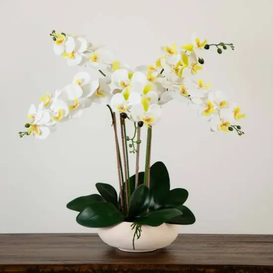 23" Orchid Arrangement in White Ceramic Planter {7}