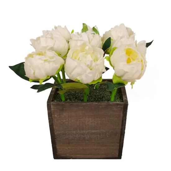 10" White Peony Flowers In Wood Box {1}