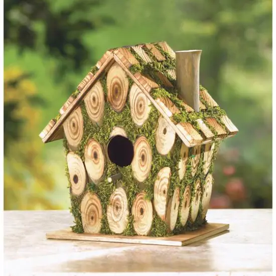 8" Moss-Edged Birdhouse {3}