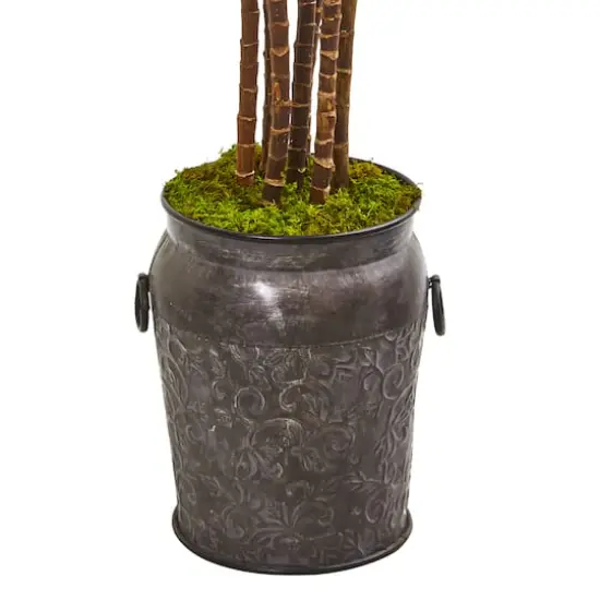 6ft. Yucca Tree in Decorative Planter {4}