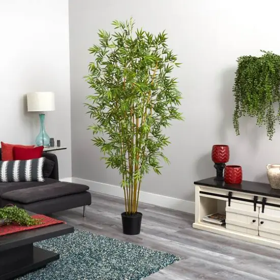 6ft. Potted Mini Bamboo Silk Tree {6}