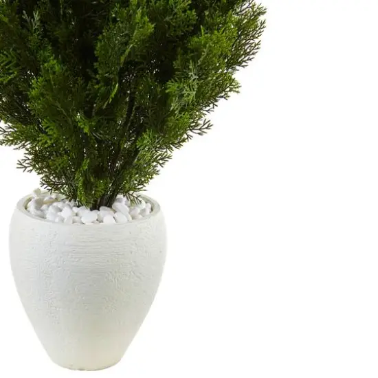 3ft. Cedar in Oval Textured Planter {3}