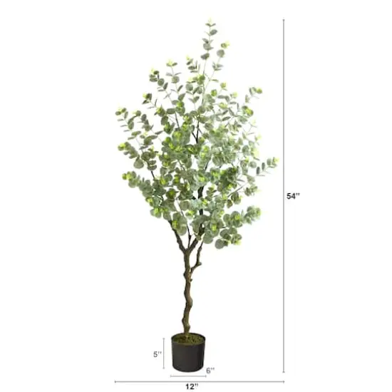 4.5ft. Potted Eucalyptus Tree {3}