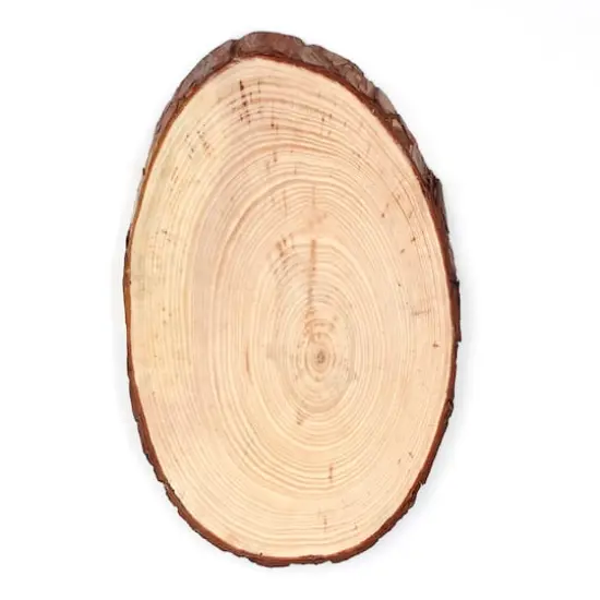 ArtSkills 10" Unfinished Natural Wood Slice {1}