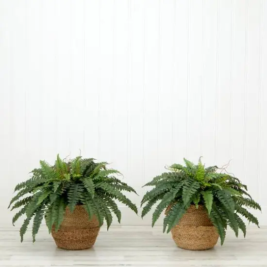 23" Artificial Boston Fern Plant with Handmade Jute & Cotton Basket with Handles {5}