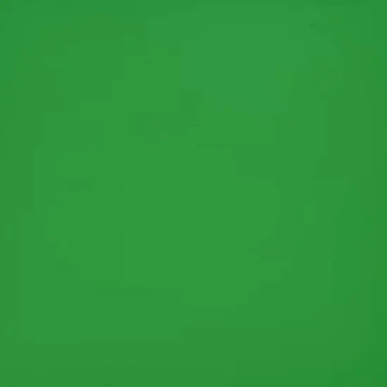 ORACAL&reg; 651 Permanent Adhesive Vinyl Light Green 062 {3}