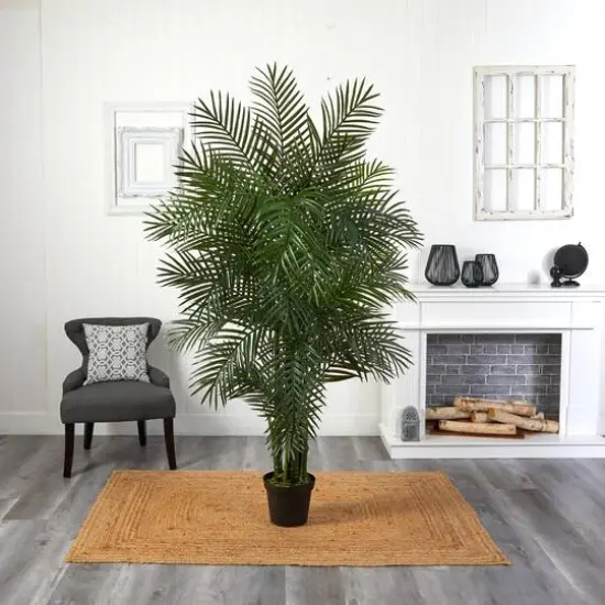 6.5ft. Potted Areca Palm {6}