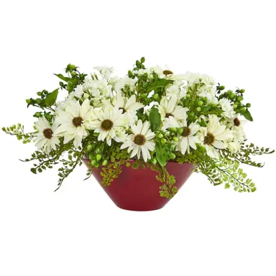 10" Cream Daisy Arrangement in Red Vase {1}