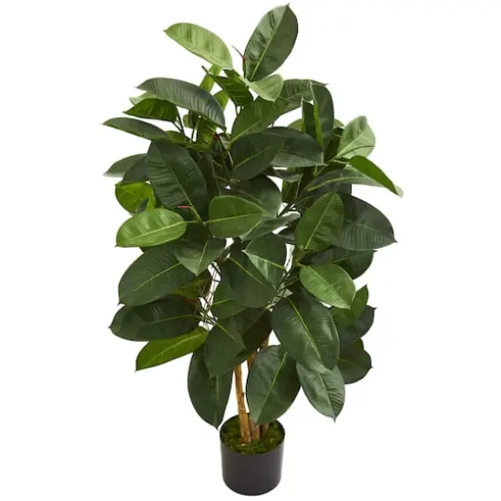 4ft. Potted Oak Ficus Tree {1}