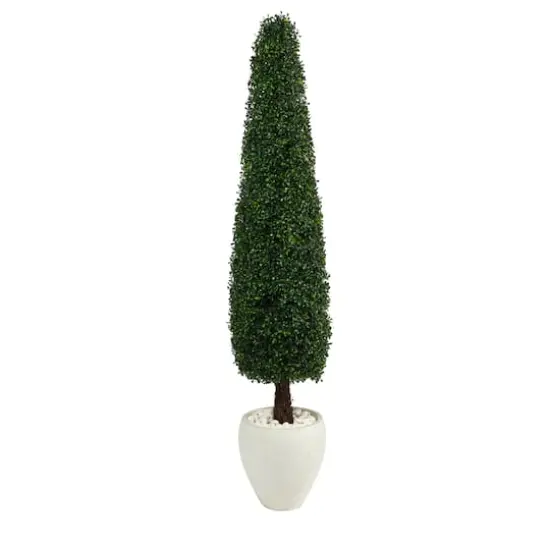 5.25ft. Boxwood Topiary in White Planter {1}