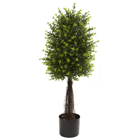 3ft. Potted Ixora Topiary {1}