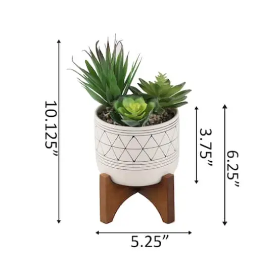 Flora Bunda&reg; 4" Faux Succulents in Ceramic Footed Stand {3}